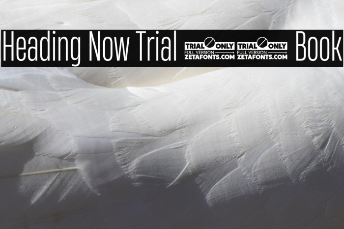 Heading Now Trial 33 Book Example 2