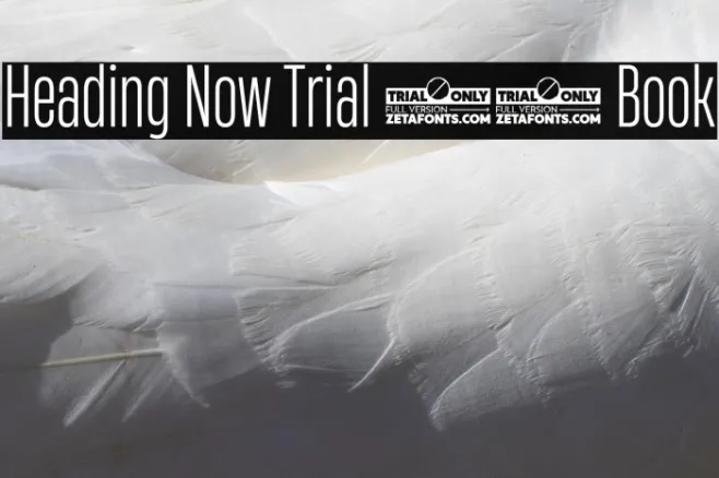 Heading Now Trial 33 Book Example 2