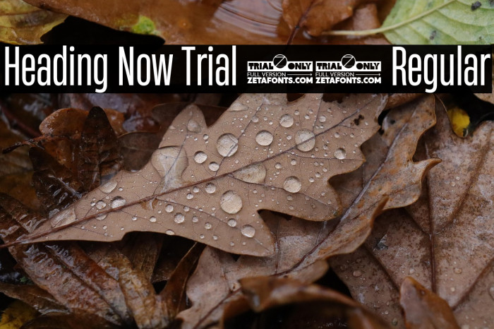 Heading Now Trial 34 Regular Example 1