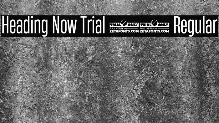 Heading Now Trial 34 Regular Example 2