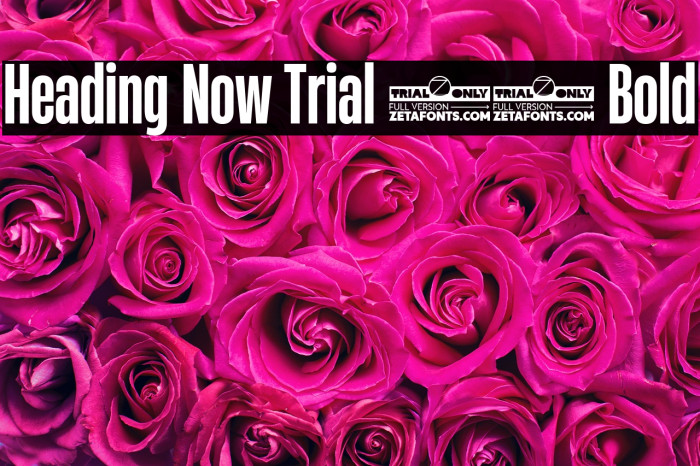 Heading Now Trial 36 Bold Example 2