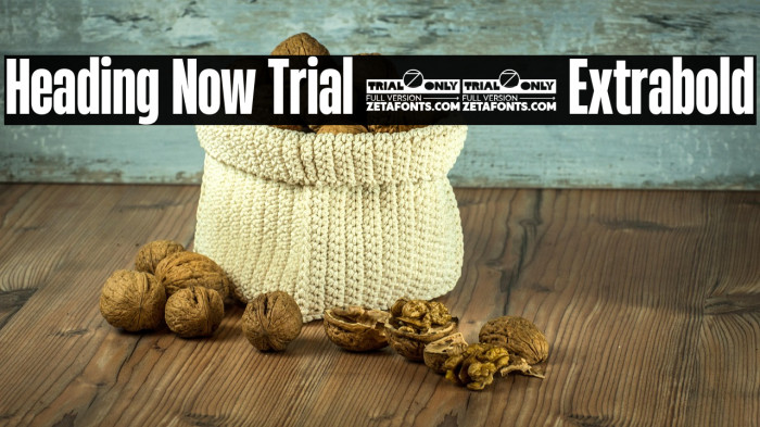 Heading Now Trial 37 Extrabold Example 2