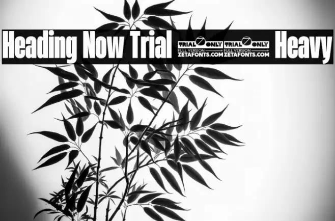 Heading Now Trial 38 Heavy Font examples