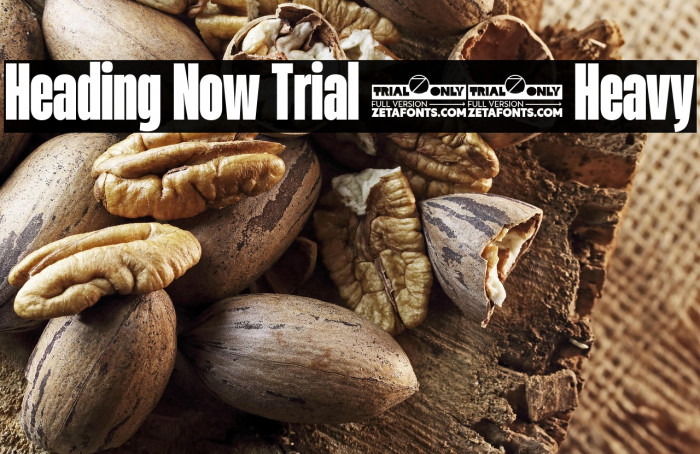 Heading Now Trial 38 Heavy Example 2