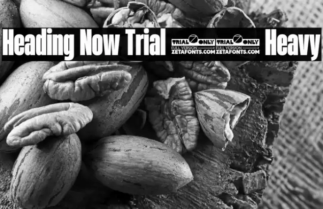 Heading Now Trial 38 Heavy Font examples