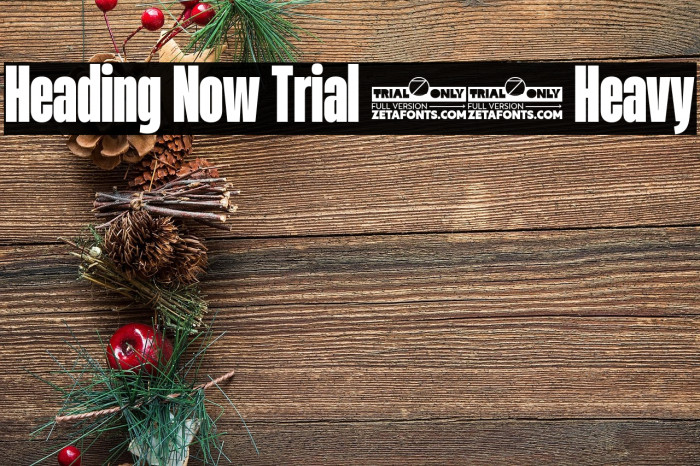 Heading Now Trial 38 Heavy Example 3