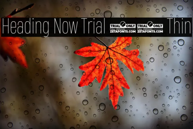 Heading Now Trial 41 Thin Example 1
