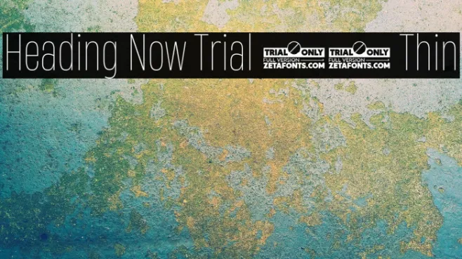 Heading Now Trial 41 Thin Example 2