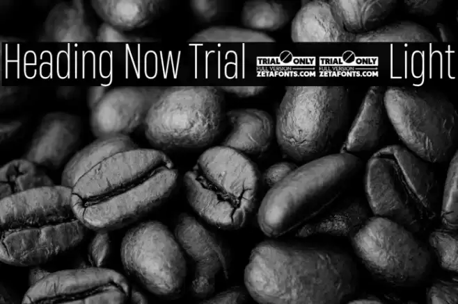 Heading Now Trial 42 Light Font examples