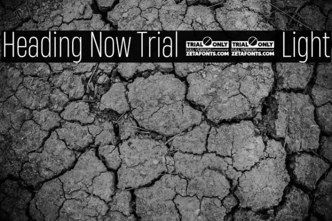 Heading Now Trial 42 Light Font examples