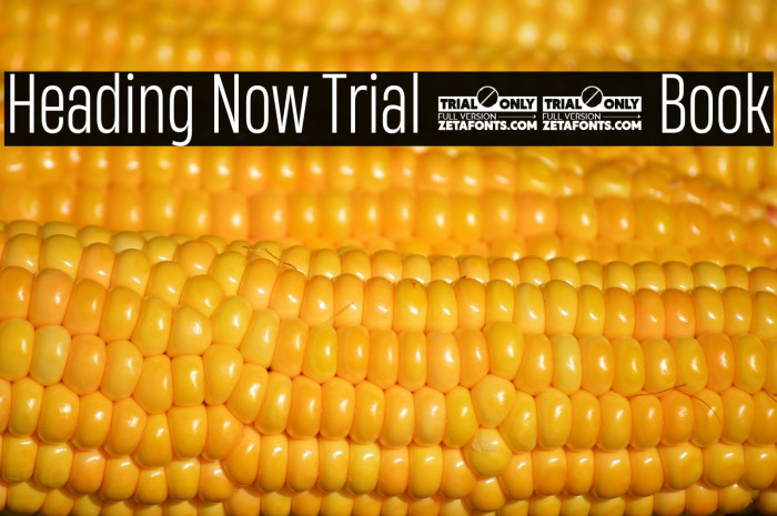 Heading Now Trial 43 Book Example 1