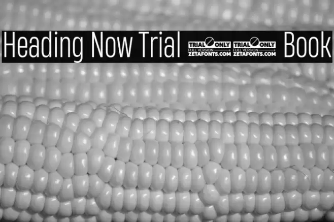 Heading Now Trial 43 Book Font examples