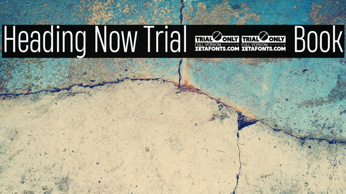 Heading Now Trial 43 Book Example 2