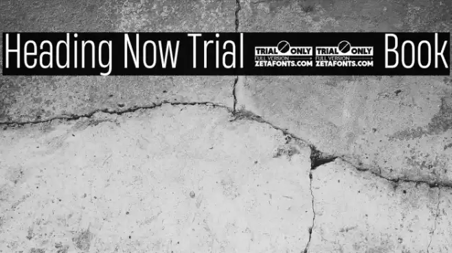 Heading Now Trial 43 Book Font examples