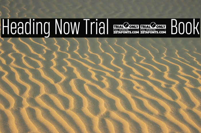 Heading Now Trial 43 Book Example 3