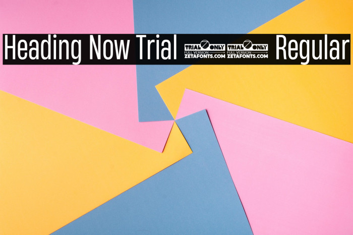 Heading Now Trial 44 Regular Example 1