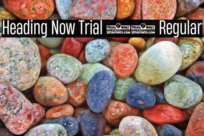 Heading Now Trial 44 Regular Example 3