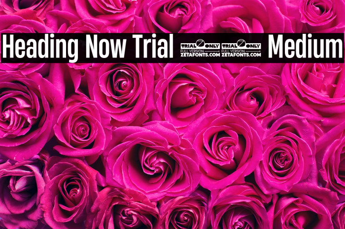 Heading Now Trial 45 Medium Example 1