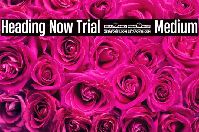 Heading Now Trial 45 Medium Example 1