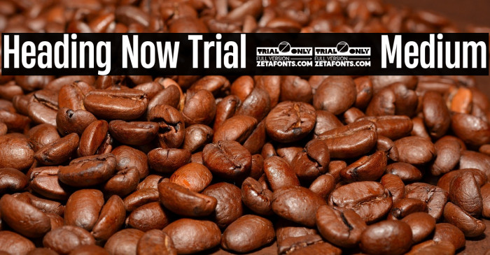 Heading Now Trial 45 Medium Example 2