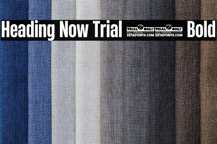 Heading Now Trial 46 Bold Example 1