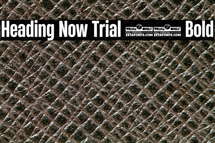 Heading Now Trial 46 Bold Example 3