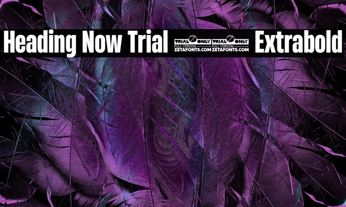 Heading Now Trial 47 Extrabold Example 1