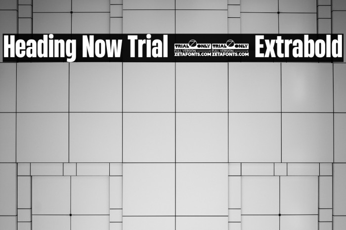 Heading Now Trial 47 Extrabold Example 3