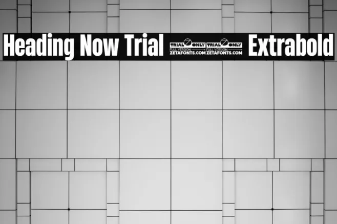Heading Now Trial 47 Extrabold Example 3