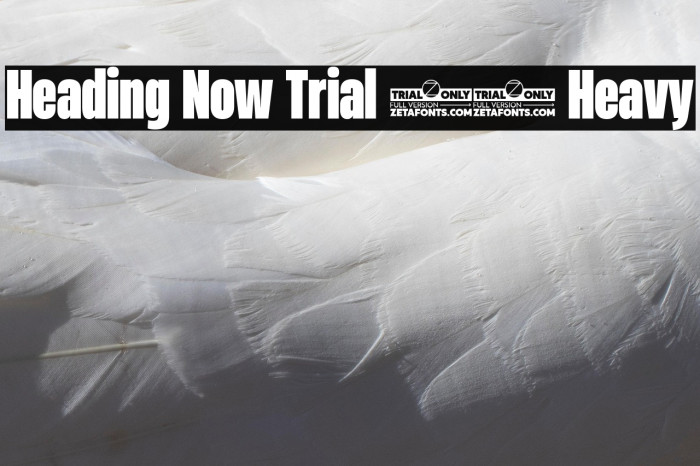 Heading Now Trial 48 Heavy Example 1