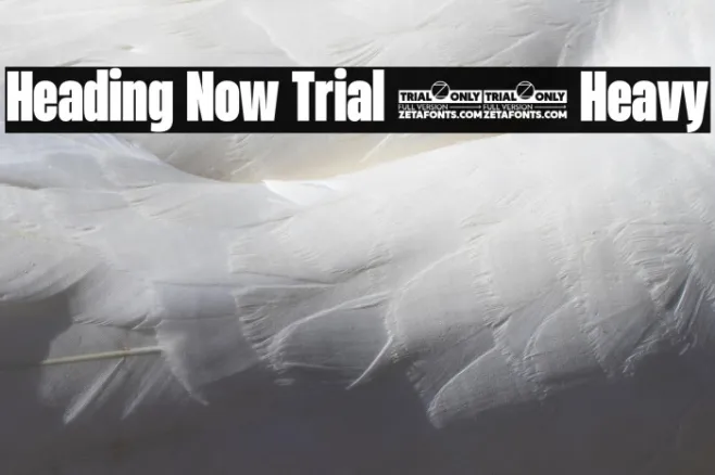 Heading Now Trial 48 Heavy Example 1
