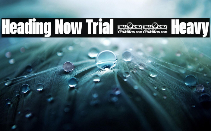 Heading Now Trial 48 Heavy Example 2