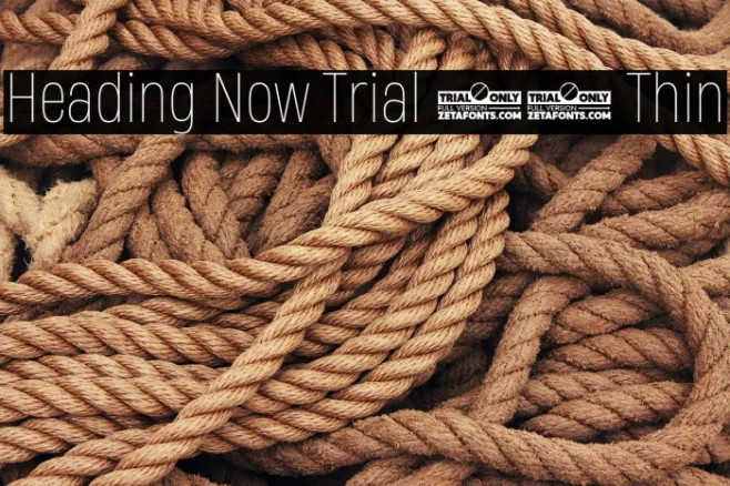 Heading Now Trial 51 Thin Example 2