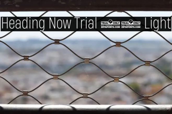 Heading Now Trial 52 Light Example 3