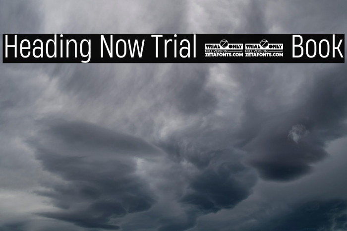 Heading Now Trial 53 Book Example 1