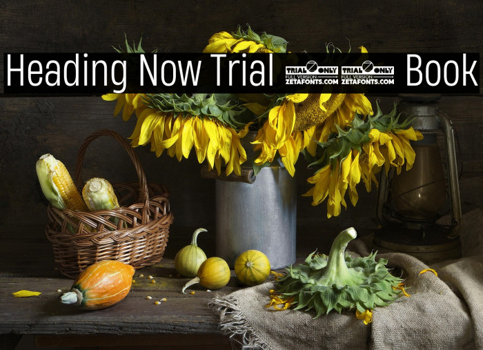 Heading Now Trial 53 Book Example 3