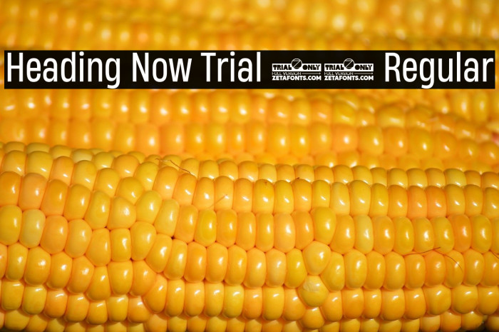 Heading Now Trial 54 Regular Example 1