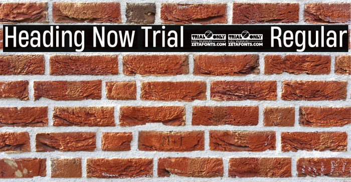 Heading Now Trial 54 Regular Example 2