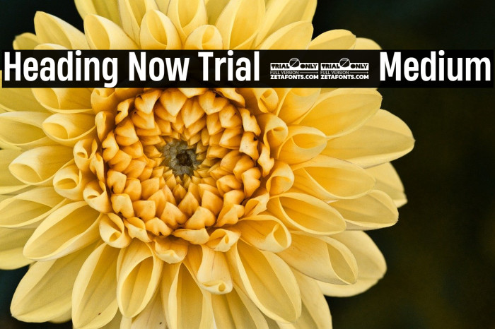 Heading Now Trial 55 Medium Example 1