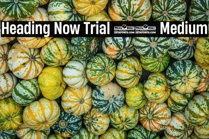 Heading Now Trial 55 Medium Example 2