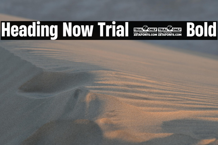 Heading Now Trial 56 Bold Example 2