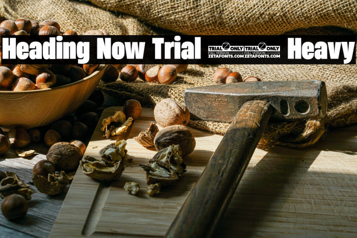 Heading Now Trial 58 Heavy Example 1