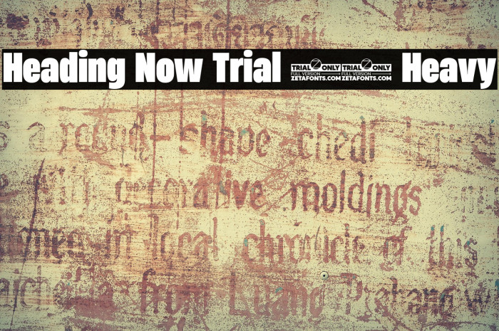 Heading Now Trial 58 Heavy Example 3