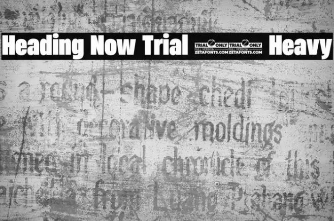 Heading Now Trial 58 Heavy Font examples