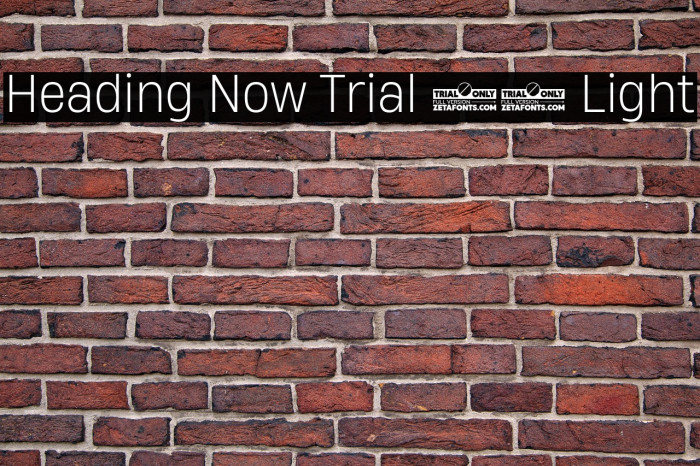 Heading Now Trial 62 Light Example 2