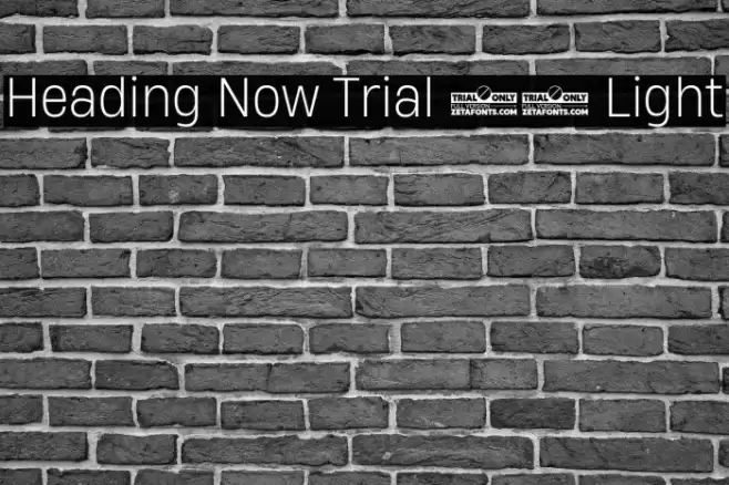 Heading Now Trial 62 Light Font examples