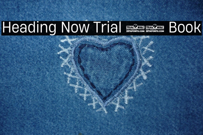 Heading Now Trial 63 Book Example 3