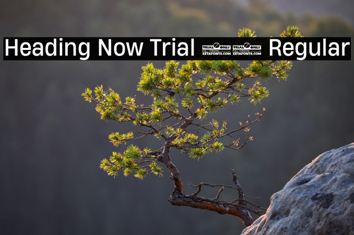 Heading Now Trial 64 Regular Example 2