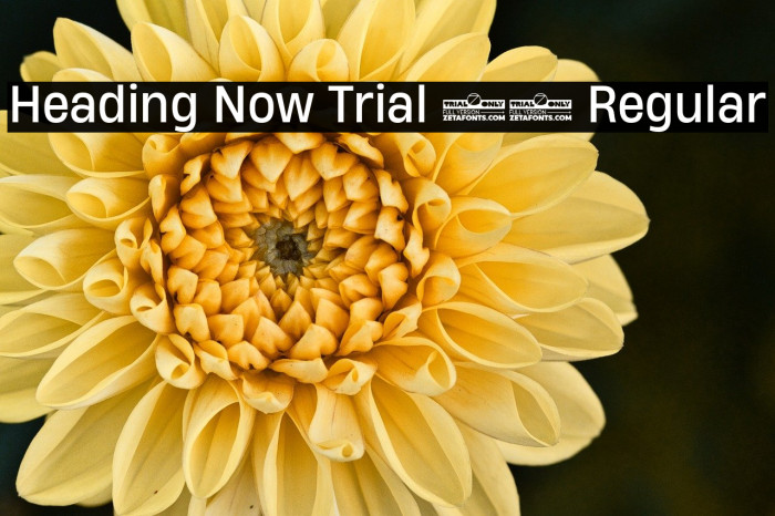 Heading Now Trial 64 Regular Example 3