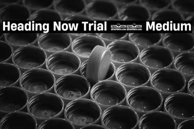 Heading Now Trial 65 Medium Font examples